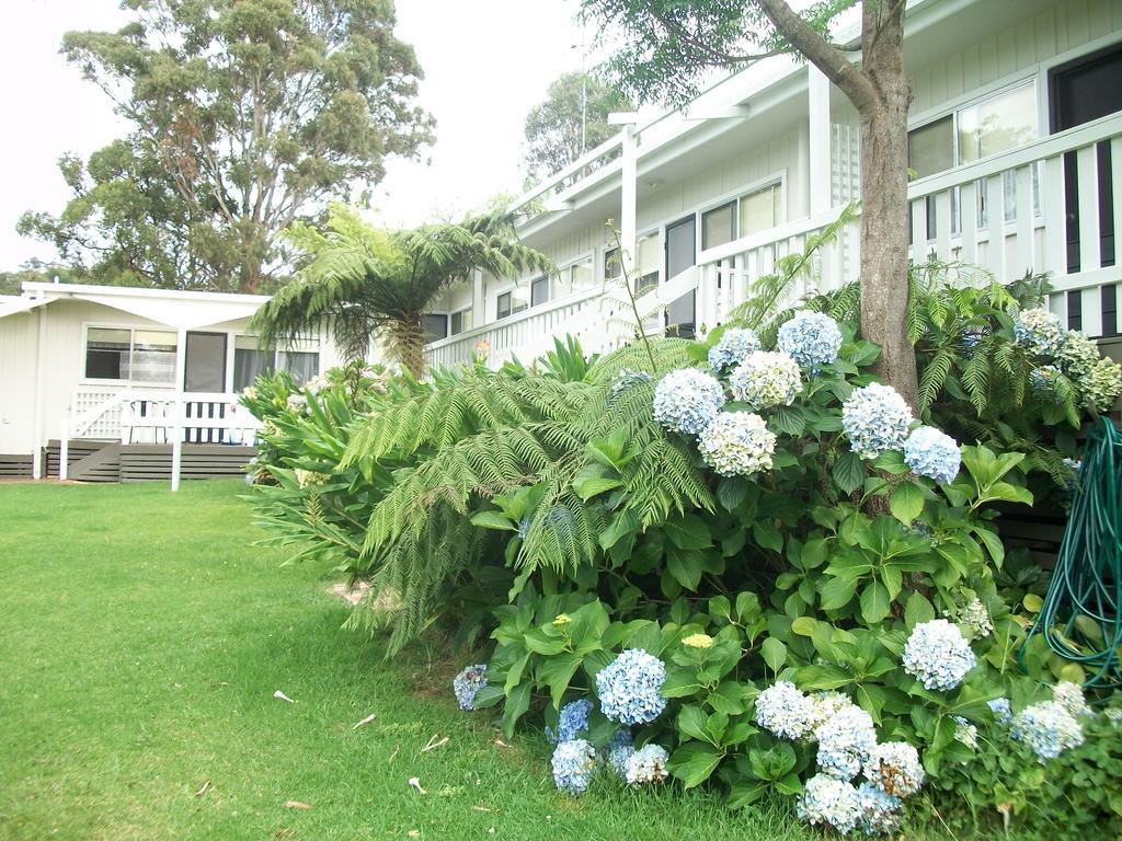 Top Of The Lake Holiday Units Merimbula Esterno foto