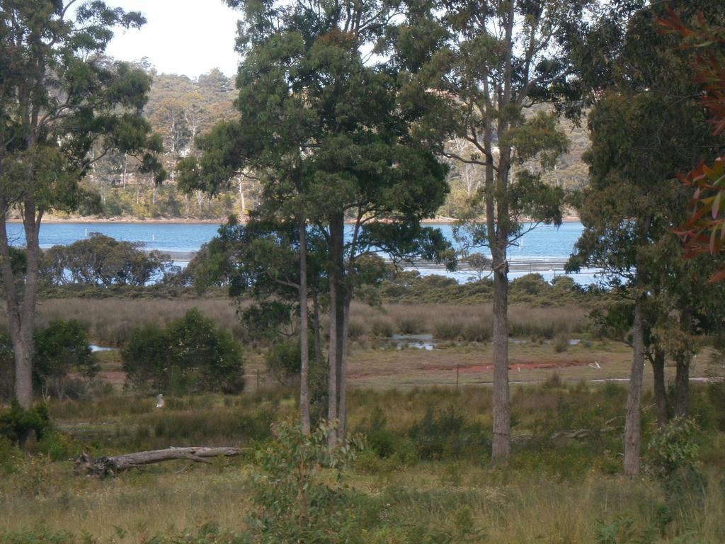 Top Of The Lake Holiday Units Merimbula Esterno foto