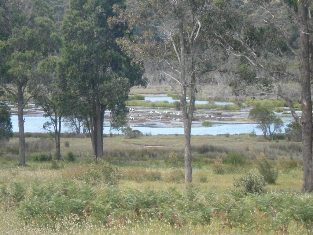 Top Of The Lake Holiday Units Merimbula Esterno foto